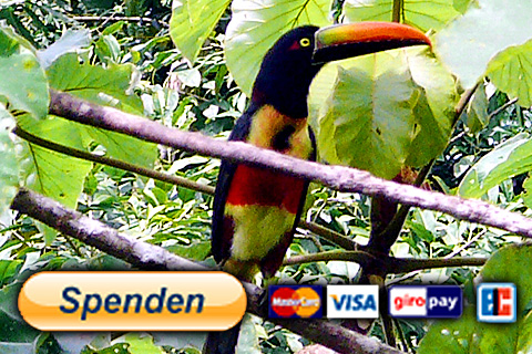 Spenden mit PayPal